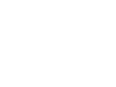 Animatiosaure